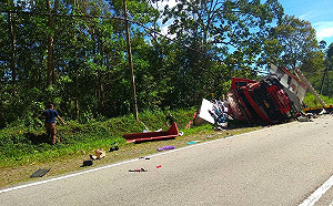 大馬傳消防車遭猴群圍攻  山路奔逃翻覆5人傷