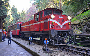 阿里山公路邊坡施工 9/2起實施交管