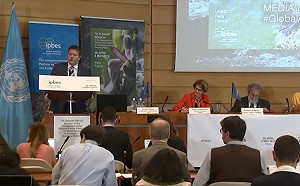 驚！百萬物種恐滅絕  UN：人類破壞生態將危害自己