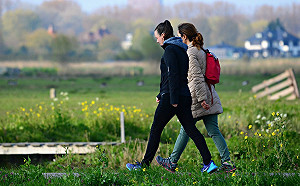 走路腳會痛？醫師：挑鞋注意「4件事」行走才能最舒服