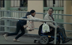 癱瘓者福音　台日合作研究發現脊髓神經元修復關鍵