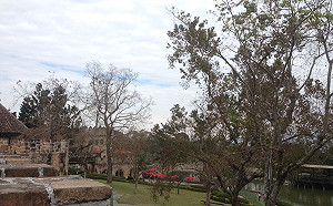 出門帶雨具備用！東北季風減弱白天氣溫稍回升