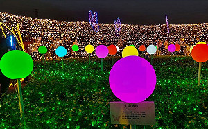 把握最後一周機會來蝴蝶公園　50萬顆LED打造震撼光雕秀