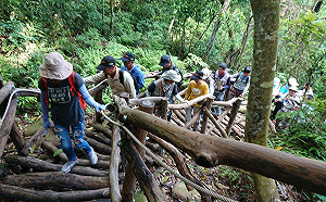 大雨邊坡崩榻 台中大坑3號步道全線封閉