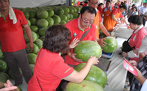 壽豐果艷西瓜產地直送 板農優惠銷售3天