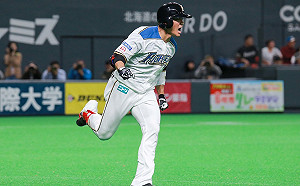 新日職一周／王柏融、清宮齊合體　火腿新打線令人期待