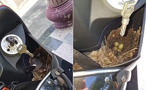 車停一周被「這家人」霸佔還生4個　他傻眼：會不會太扯