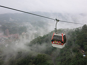 別撲空！貓纜檢修暫停營業19天 5/30重新開放