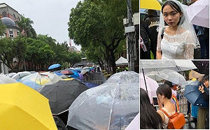 同婚專法三讀通過 陳芳明：請用喜帖來炸我！