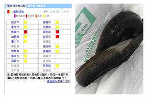 新竹雷雨胞轟炸「雨用倒的」　民眾停車場撿到鱸鰻好傻眼