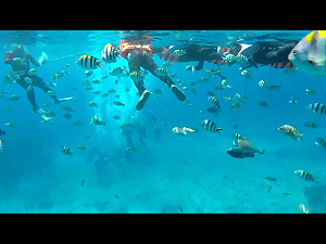 綠島浮潛24歲男失蹤 陸海空搜尋未獲