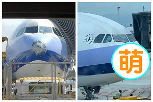 華航班機遭雷擊！借用國泰「機鼻混搭」 反差萌百人笑翻