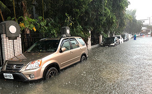 豪雨過後注意這3件事  避免傳染病找上門
