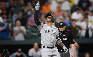 MLB／請叫我「打鳥高手！」托瑞斯10轟都是這隊貢獻(影)