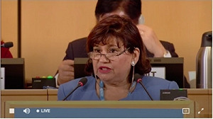 仗義執言！WHA開幕兩天 13友邦與理念相近國發聲挺台