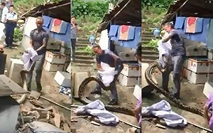 天氣熱蛇出沒！香港驚現4公尺巨蟒　蛇王搏鬥成功收服(影)