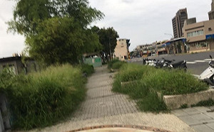 登革熱不會管你在忙 「前市府高官」PO照打臉韓國瑜