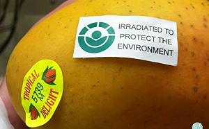 輻照食品是什麼？跟輻射污染食品有什麼不一樣？