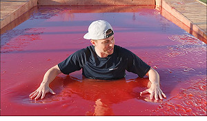 (影)嗨爆了！竟然在果凍裡游泳　孩子們瘋玩這「果凍樂園」