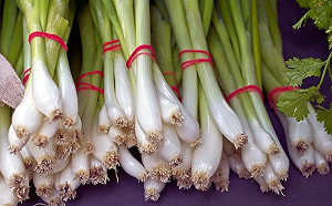 麵求加蔥！上桌一看「整碗炸出」嚇傻　6千人笑瘋求店址