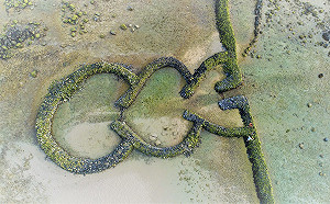 打卡新景點！吉貝葫蘆石滬　三心不二意