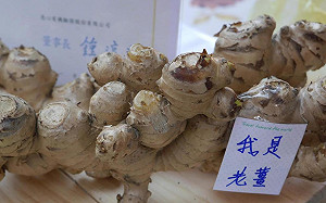 薑是老的辣？薑薑家族身世大解密