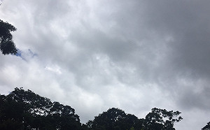 注意！大雷雨襲南高屏 慎防強陣風及劇烈降雨