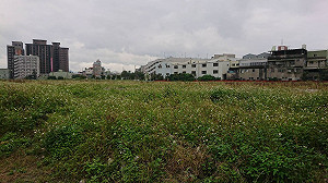 天熱小心毒蛇出沒！居家防蛇撇步看這裡