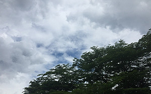 利奇馬接近中！北台灣高溫飆37°C  留意午後雷陣雨