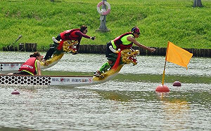 龍舟比賽哪裡看？全台龍舟競賽一次報你知