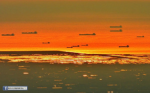 壯觀！阿里山上竟出現「無敵艦隊」 民眾驚呼奇景