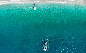 不同視角「划龍舟」 全台4大SUP探索秘境（上）