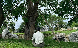 卓榮泰po淡定參禪照  挺英挺賴網友貼文下火爆大戰