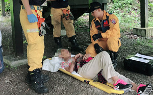 都是白蟻惹的禍 霧峰青桐林園區木棧平台崩塌14傷