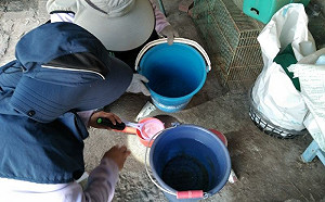 雨後嚴防登革熱！4步驟徹底清除孳生源