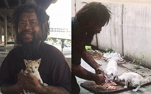 寧願餓著也要讓浪貓吃飽　無家大叔：牠們是家人