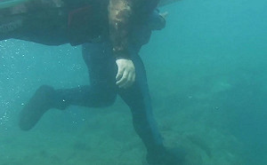 誇張！小琉球潛水客狠踩綠蠵龜 首例現行犯移送