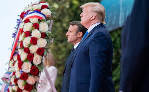 與川普合栽的友誼之樹死了  馬克宏：再送1棵就好