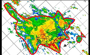 因「貓咪效應」下豪雨？蘇揆留言要臉書小編「別瞎掰」