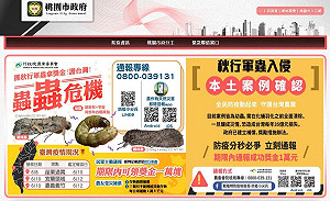 抓蟲拿獎金！ 桃市通報秋行軍蟲可領1萬元
