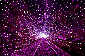 夏夜浪漫限定  騎鐵道自行車遊光雕秘境