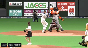 日職／最愛王柏融！超正妹池端玲名開球卻差點砸到大王(影)