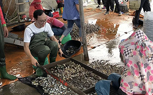 沒有被邊緣化問題　朱立倫：台灣需要理性、中道、穩定的力量