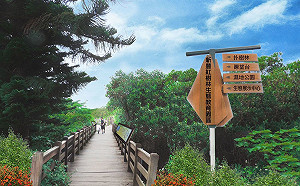 北台灣唯一混生紅樹林封關　改造變身明年初再見