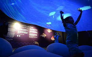 AR實境呈現自然史流轉  3大博物館重量級聯手展出