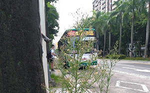 楊宏基觀點》一「市」之不治，何以天下國家為？