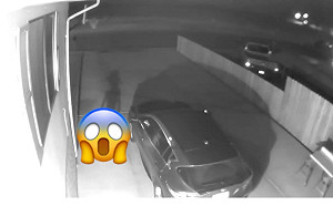 哈利波特精靈現身！停車場實錄「多比」　主人：絕對真實(影)