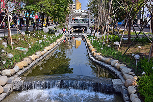 藍營議員質疑綠川改造耗資源  龍團隊：新市府應好好維護