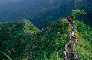 夏季限定踏青去！大坑步道賞蝶、聽蟬鳴