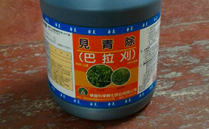 支持禁用巴拉刈！衛福部表態挺農委會